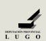 diputaci&oacute;n provincial de lugo