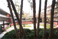 University of California, Los Angeles, Rolfe Hall, courtyard 