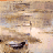 Ram&oacute;n Gaya, Sin t&iacute;tulo (Vista de Florencia), 1952. Acuarela sobre papel, 22,5 x 30 cm. Fundaci&oacute;n Mar&iacute;a Zambrano, V&eacute;lez-M&aacute;laga.