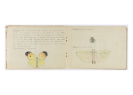 Cuaderno de excursiones de geolog&iacute;a, zoolog&iacute;a y bot&aacute;nica de Dionisio Fern&aacute;ndez Fern&aacute;ndez, alumno del Instituto-Escuela, 1925-1926
