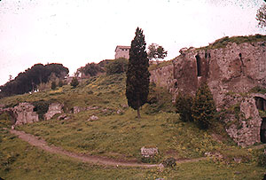 Roma (Italia)