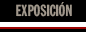 exposici&oacute;n